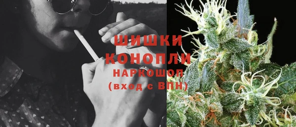прущие грибы Заволжье