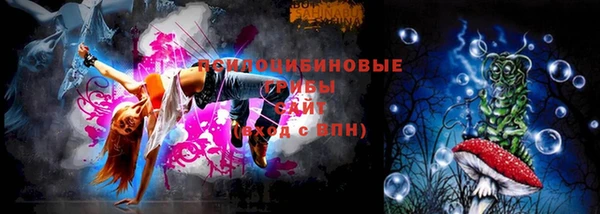 прущие грибы Заволжье