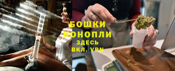прущие грибы Заволжье